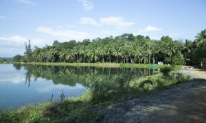 view of a pond at sankaratapovanam   